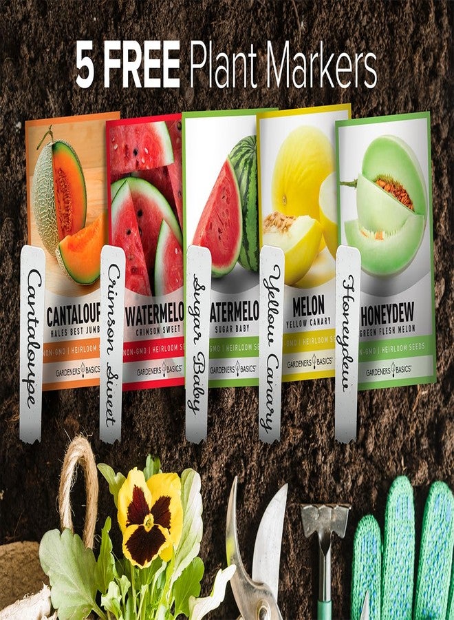 Gardeners Basics أساسيات البستانيين، بذور فاكهة البطيخ لزراعة الحديقة المنزلية، 5 عبوات متنوعة - شمام هيلز بيست، بطيخ أحمر حلو، شمام أصفر كناري، شمام أخضر، بطيخ سكر بيبي - Image 5